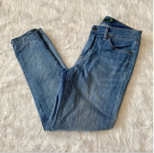 Lauren Ralph Lauren Womens BLUE Premier 