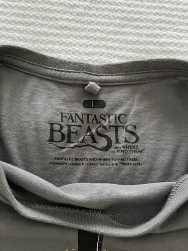 Fantastic Beasts Muggle Worthy T Shirt Mens Licensed Movie Gray size Large - Picture 4 of 5