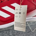 Foto 10 di 17