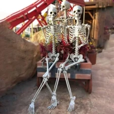 2Pack 5.4ft Halloween Skeleton Full Body Life Size Skeleton Bones Movable Joints