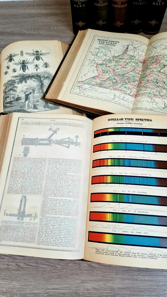 Hard-to-Find 1886 Johnson’s Universal Cyclopaedia – Complete 8 Volume Set - Image 4 of 4