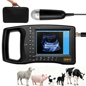 Veterinary Ultrasound Machine Lightweight, Portable Design for Pregnant Pig Goat