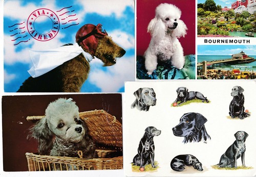 20 LOT Dogs & Puppies, Variety of Postcards - Most Mailed (12), 8 Unmailed - Picture 5 of 5
