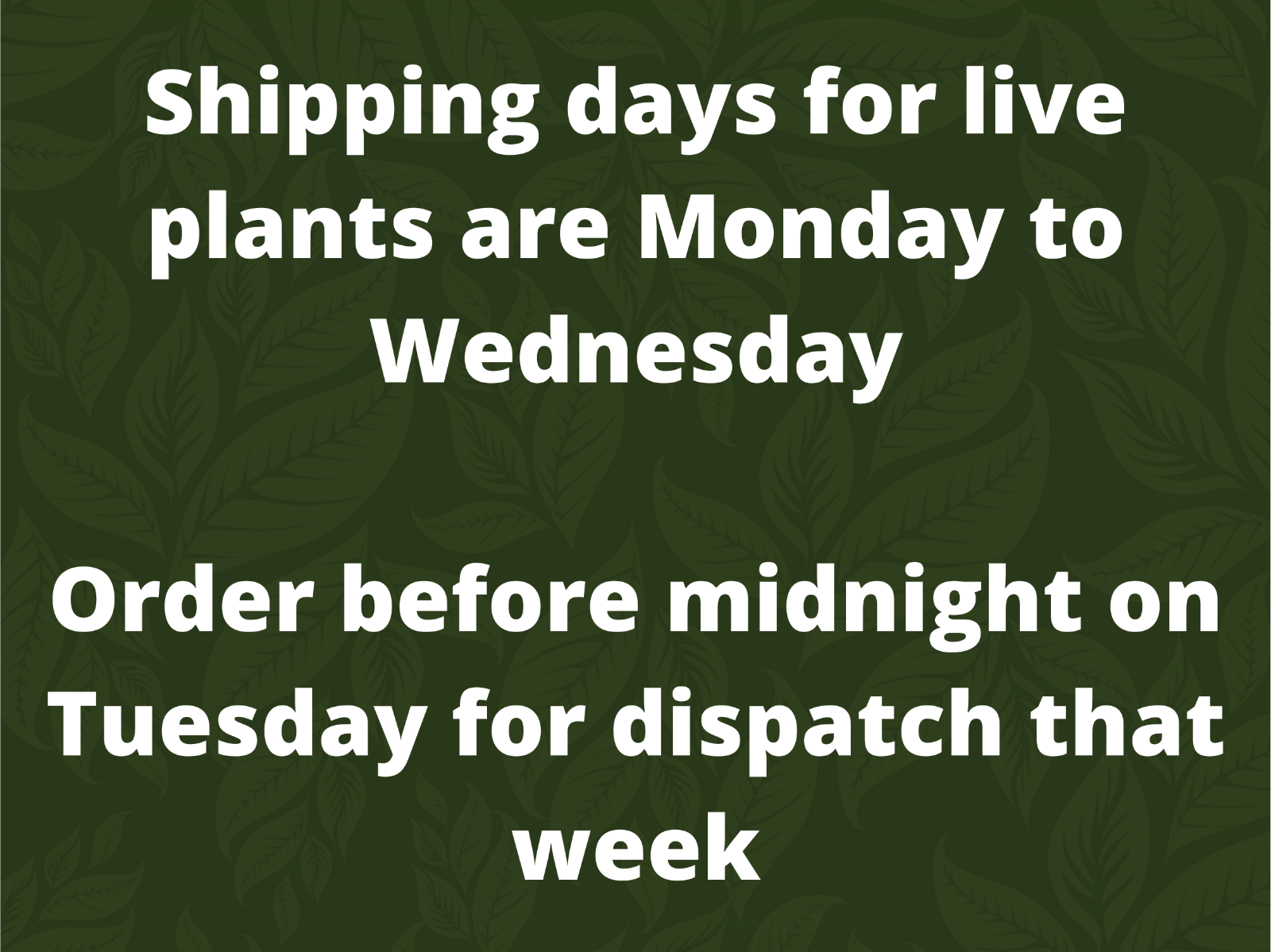 DIY Xtra Large Terrarium Starter Kit • Soil, Sphagnum Moss, Charcoal