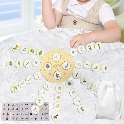 Lebenszyklus Tablett Tier Figuren passendes Spiel Feinmotorik Lebenszyklus Puzzle
