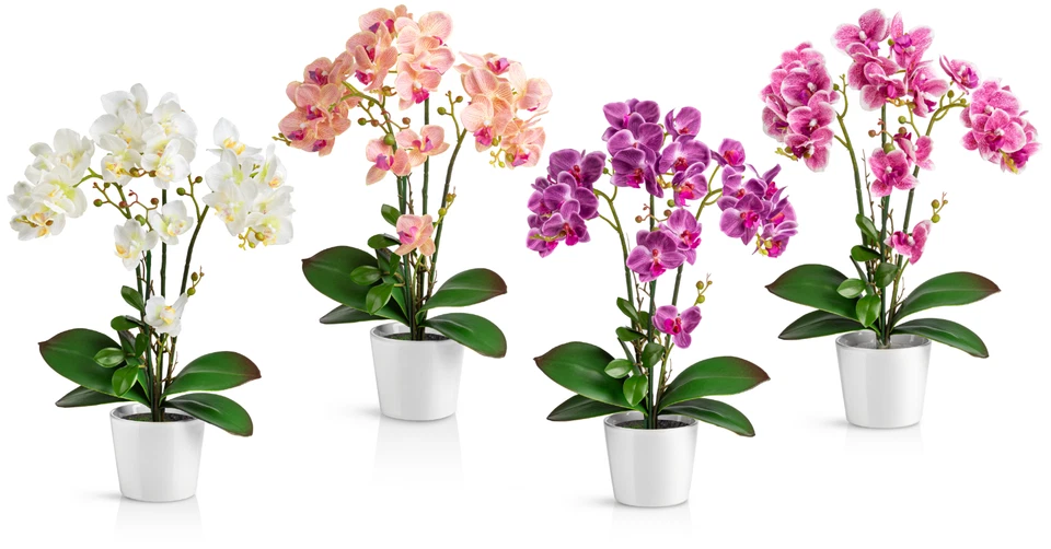 PASCH® Künstliche Orchideen wie echt im Keramiktopf (46cm) - Kunstblumen im Topf - Bild 2 von 2