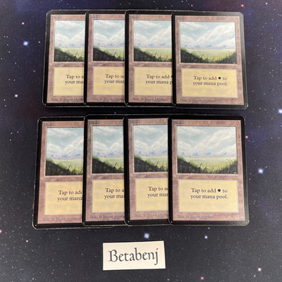 1x MTG Alpha Plains Version B from Estate Collection