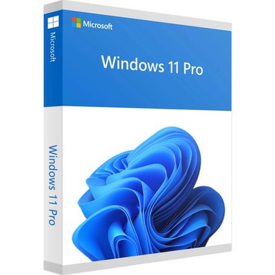 Windows 11 Pro Vollversion Aktivierungsschlüssel E-Mail Key & Download