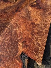 Xl Lace Redwood Burl Exotic guitar top wood or bass figured wood 4 luthier