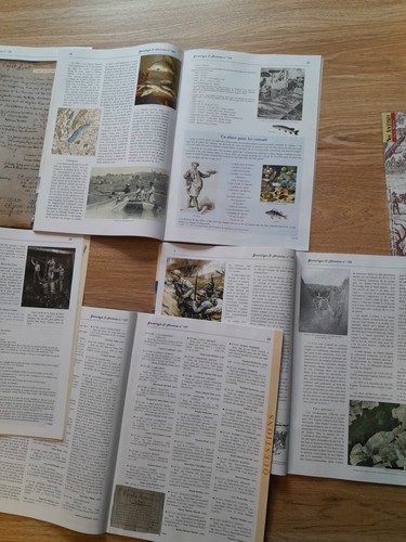 Lot Revue Française De Généalogie Et Histoire - Photo 9/9