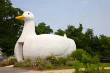 The Big Duck Flanders NY Roadside Attraction Photo Art Print Poster 18x12