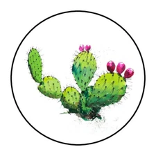 pretty cactus envelope seals, stickers, labels, tags, 