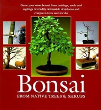 Bonsai : Complete Guide to Art and Techniques Paperback Paul Lesn