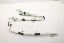 2017 - 2023 TESLA MODEL 3 RIGHT SIDE ROOF CURTAIN AIRBAG AIR BAG OEM 107782800F