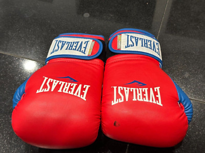Everlast 14oz Power Lock Boxing Training Gloves