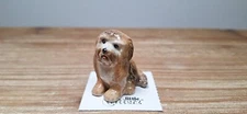 LITTLE CRITTERZ Havanese "Harold" Miniature Figurine New FREE SHIPPING LC1048