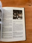 Foto 8 di 15
