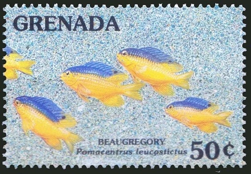 Grenada 1991 MNH, Beaugregory, Marine Life in the Sand Flats