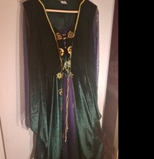 Disney Hocus Pocus Winifred Sanderson Cosplay Costume Dress Adult S