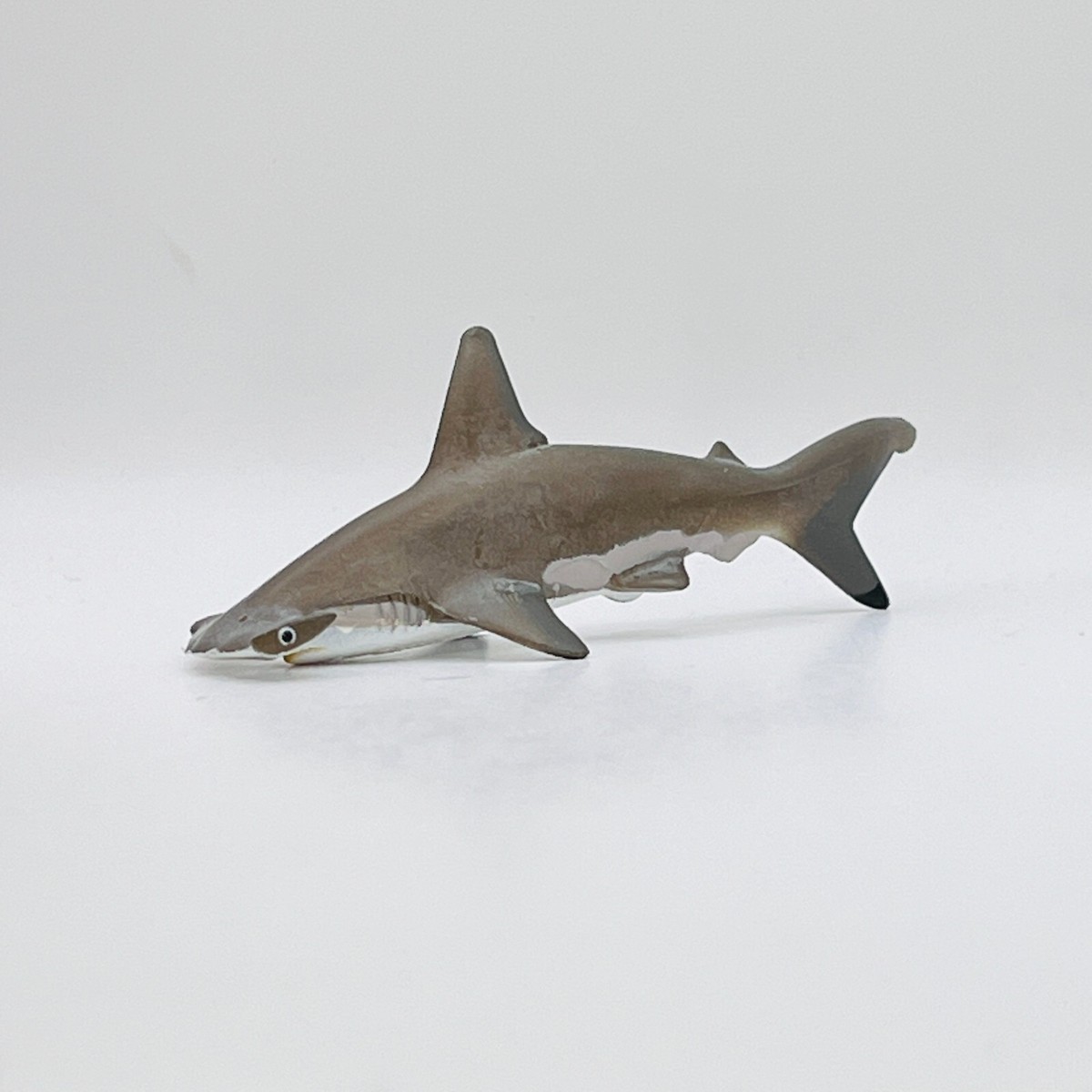 Hammer Head Shark 廃盤2枚 Hammer Head Shark 廃盤2枚 Hammer Head