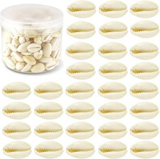 200 Pcs Natural White Cowrie Shells Bulk - 16-18Mm No Holes Whole Seashells for