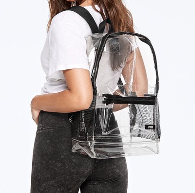 pink clear campus backpack