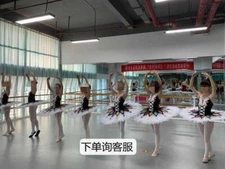 2024 professional tutu children girls adult harlequin pancake tutu top 