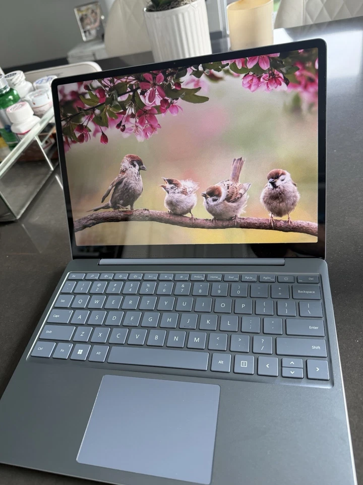 Microsoft Surface Laptop Go 2013 2 12.4 8GB 128GB SSD Intel Core I5 11ª Generación Foto 2 de 4