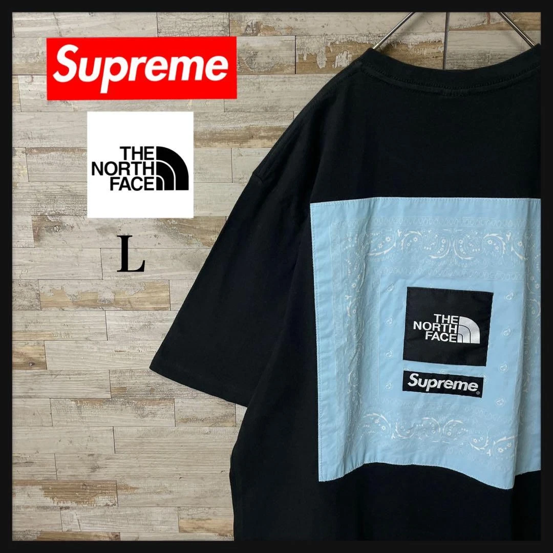 T shirt homme Supreme L U Collaboration The North Face logo brodé iconique LTD