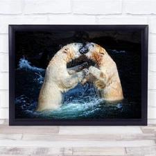Battle A Kisses Fight Friendship Polar Bears Water Art Print