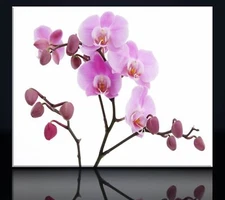 2-DECOBRITISH CANVAS ART WALL PICTURES MODERN PRINT 8dddsfdfjcfh9