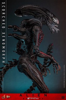 Hottoys MMS784 Alien:Romulus Scorched Xenomorph 1/6 scale Action