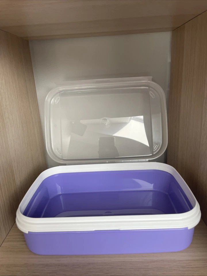 Tupperware Naschkätzchen Behälter Knäckenbehälter Brotbehälter 2l Lila Neu - Bild 2 von 2