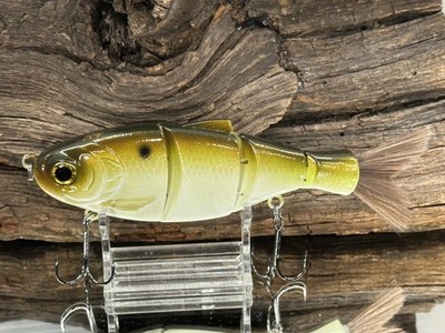 Custom Painted Nasty Shad Swimbait