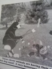 Winfield Collection Campfire Bear Woodworking Craft Plans