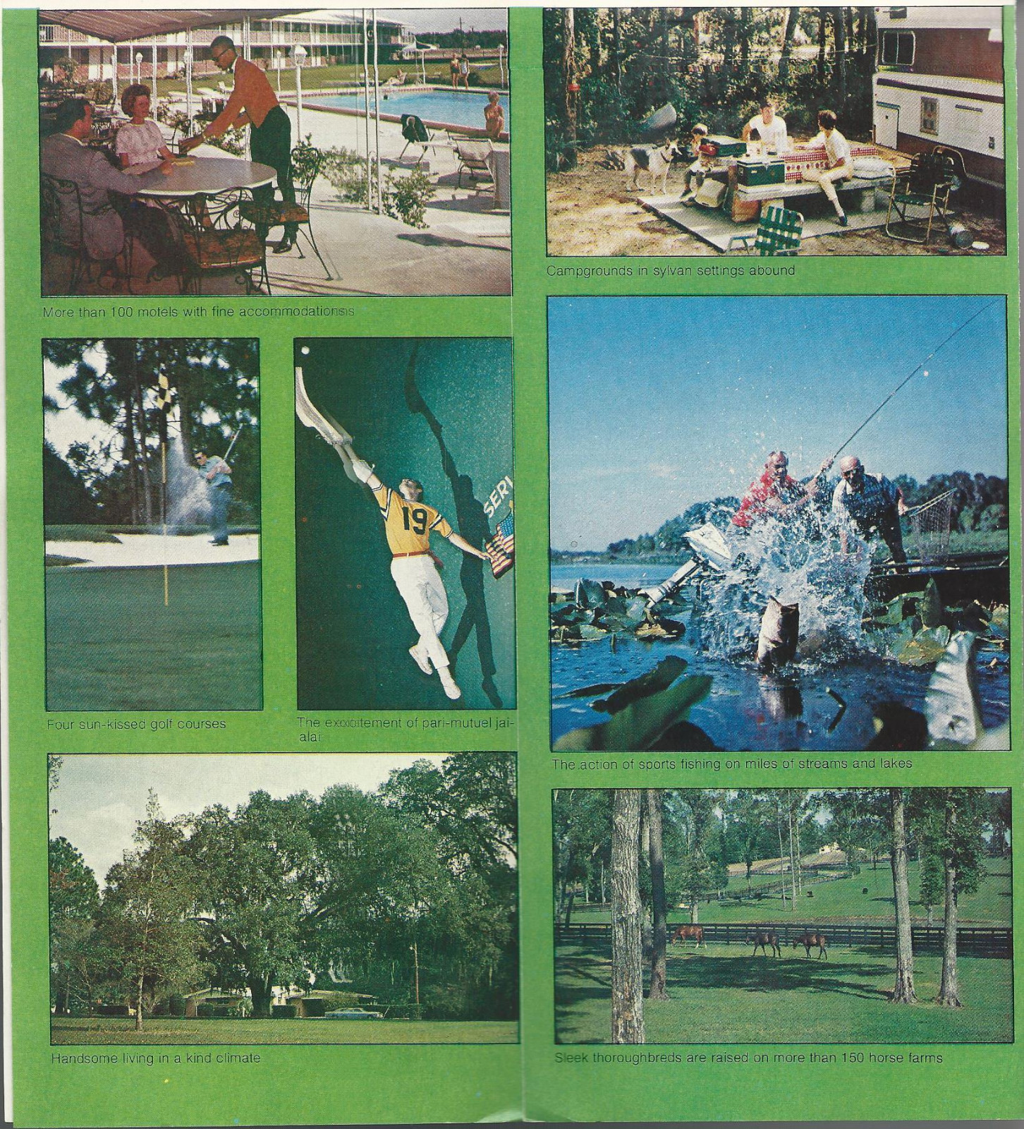 Ocala Marion County Florida Vintage Travel Brochure Color Photos
