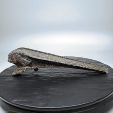 1953 Pontiac Chieftain Indian Head Hood Ornament 4152053 Oem Patina 1953 Pontiac Chieftain Indian Head Hood Ornament 4152053 Oem Patina