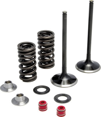 KibbleWhite Precision Intake Only Stainless Conversion Valve/spring kit 30-31210