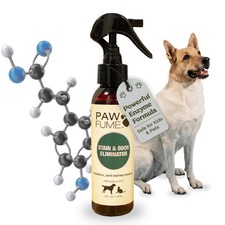 PAWFUME Stain Pet Urine Odor Eliminator, 1-Pack 4 Fl Oz Pack of 1 , green