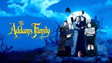 1991 The Addams Family Movie Poster 11X17 Raul Julia Anjelica Houston Gomez 🖐🍿