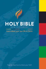 Time to Revive Gospel-Tabbed New Testament Bible (English Edition) - GOOD