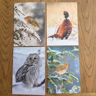4 x Ling Design Weihnachtskarten Vögel im Schnee Design Rotkehlchen Fasan & Eule