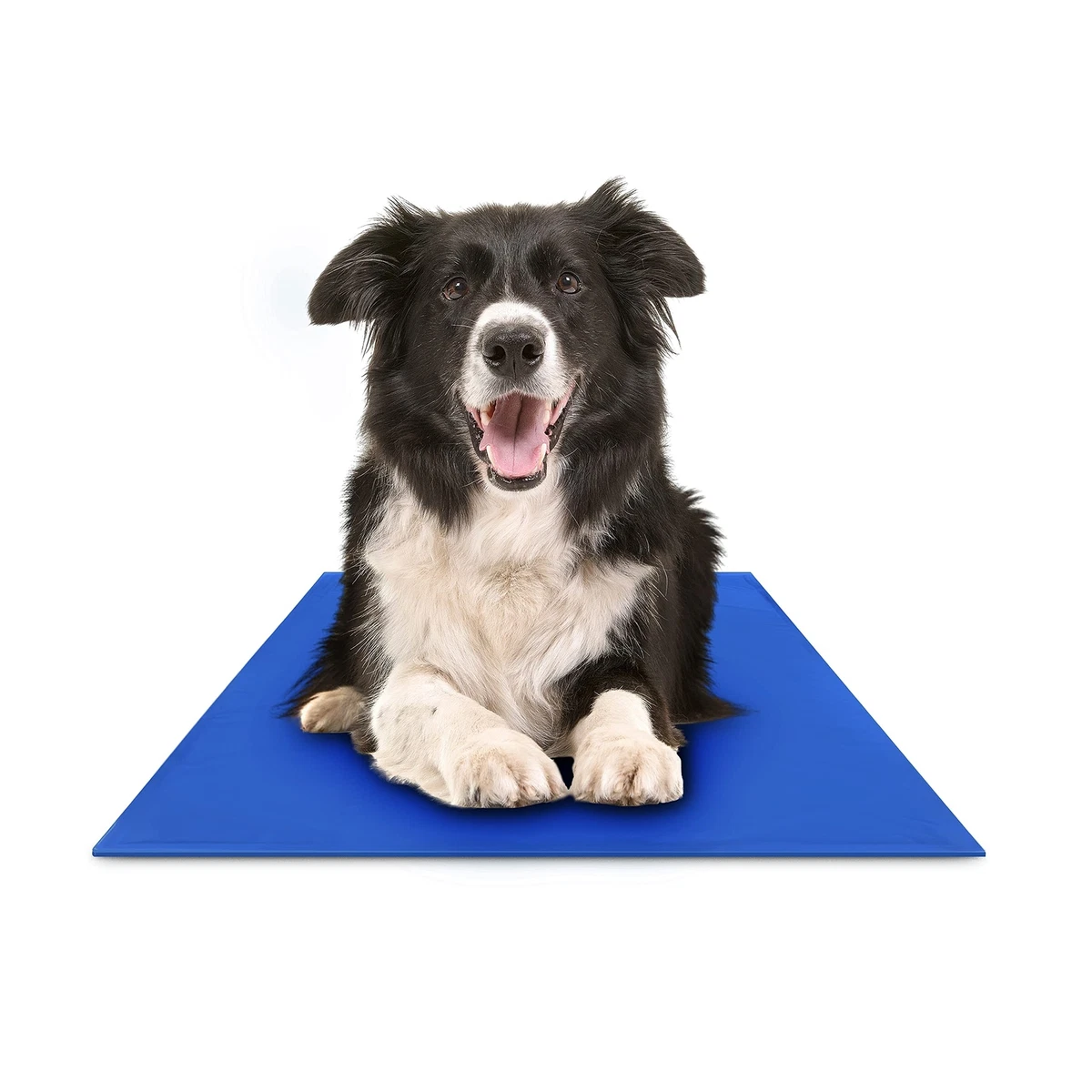 Large dog cooling pad 2025