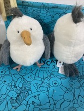 Chip Seagull : Birds : Jelly Collector