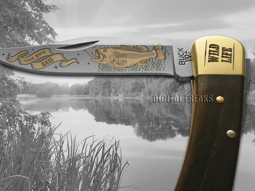Buck 110 Wild Life Series Bass Folding Hunter Custom Stainless Pocket Knife - Picture 4 of 4