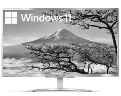 Computer AiO Cepter A420-02 24 FHD Core i3-7020U 8GB SSD+HDD Win11 (W)