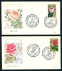 Flowers D80 Roses 2 FDC France 1962