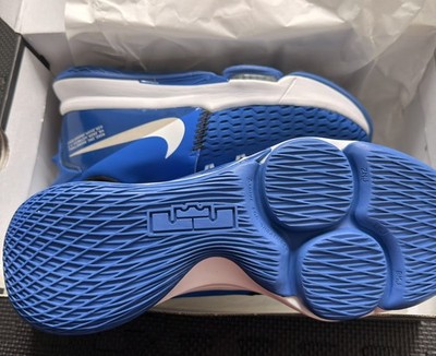 Nike Lebron Witness V Gr. 46 - Neu mit Karton