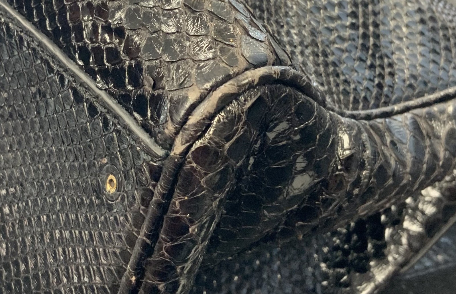 Versace - Python Snakeskin Leather Empire Palazzo… - image 12