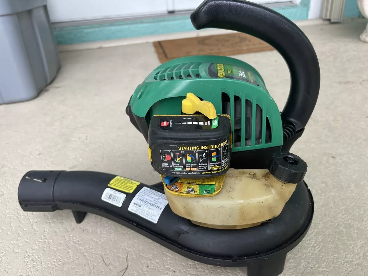 Weed blowers 2024